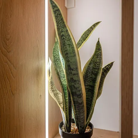 Mato Luxury Apartamento