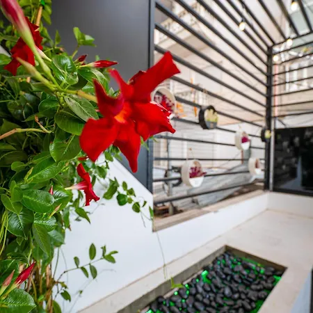 Mato Luxury Apartamento Sarandë