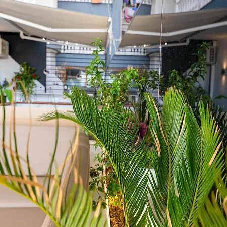 Mato Luxury Apartamento *