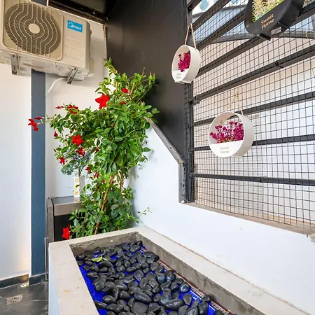 Apartment Mato Luxury