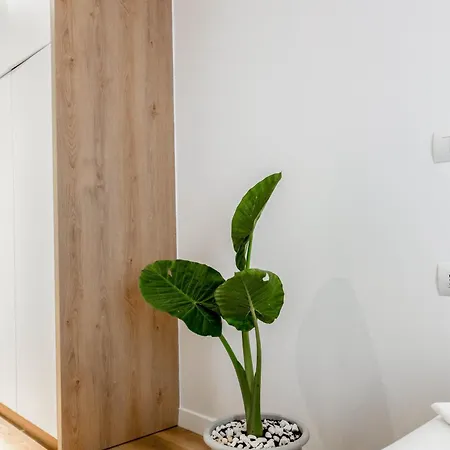 Mato Luxury Apartment