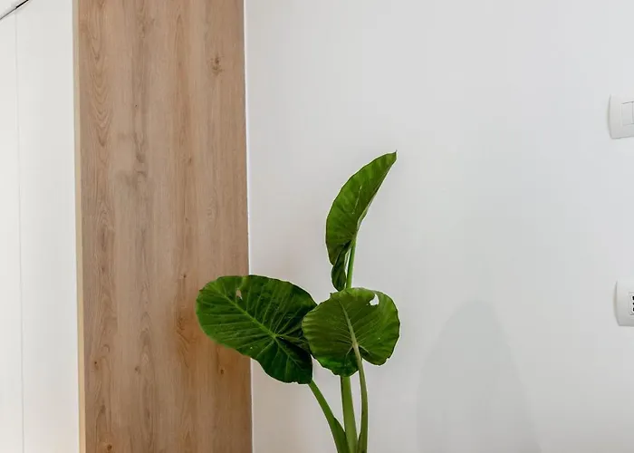 Mato Luxury Apartman